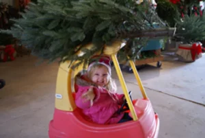 kids love choose and cut christmas tree tradition